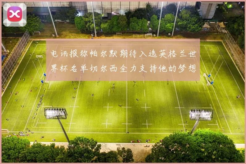 电讯报称帕尔默期待入选英格兰世界杯名单切尔西全力支持他的梦想