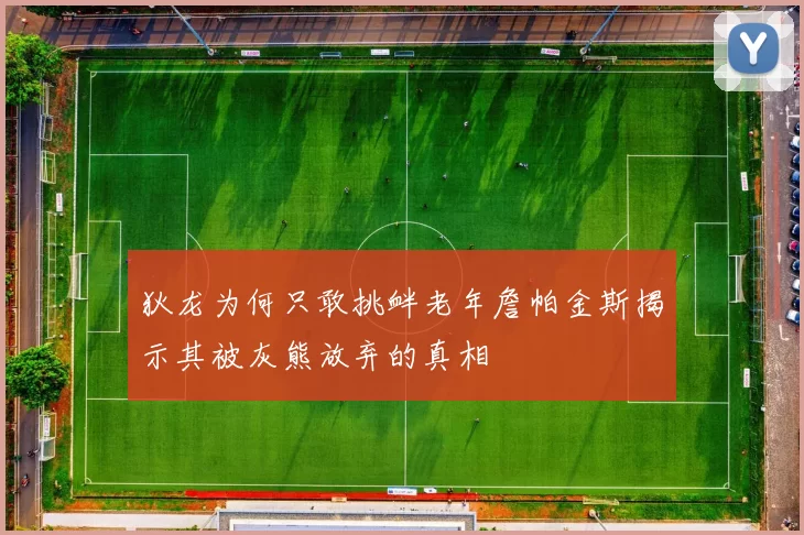 狄龙为何只敢挑衅老年詹帕金斯揭示其被灰熊放弃的真相