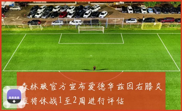 森林狼官方宣布爱德华兹因右膝炎症将休战1至2周进行评估