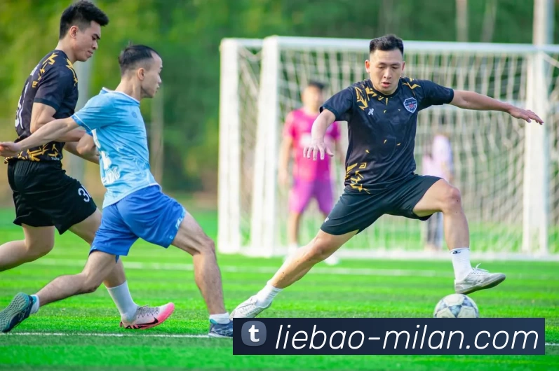 米兰体育APP 封面图